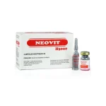 Bột pha tiêm Neovit H5000