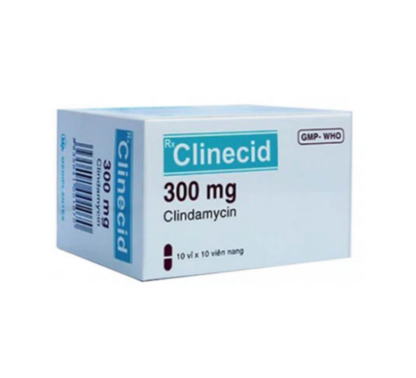Clinecid 300 mg - Điều trị nhiễm khuẩn