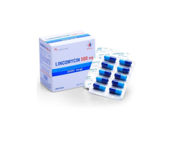 Lincomycin 500mg - Điều trị nhiễm khuẩn